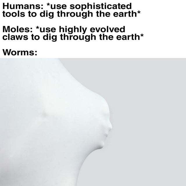 Worms are the best - meme