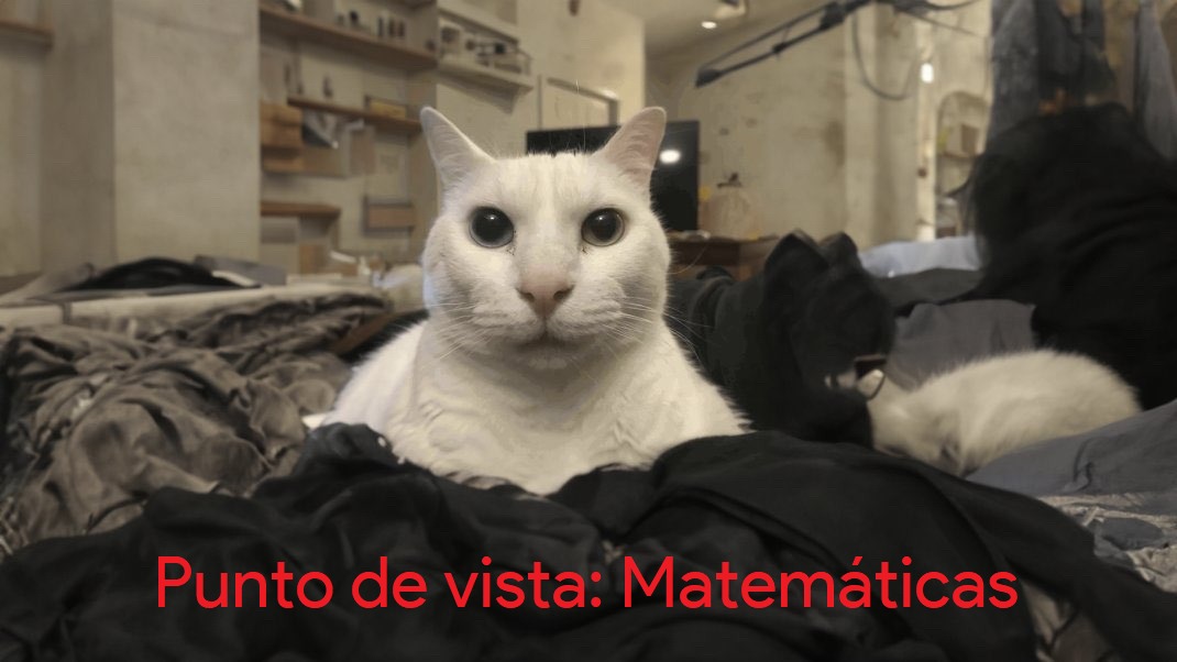 Punto De Vista: Gato - meme