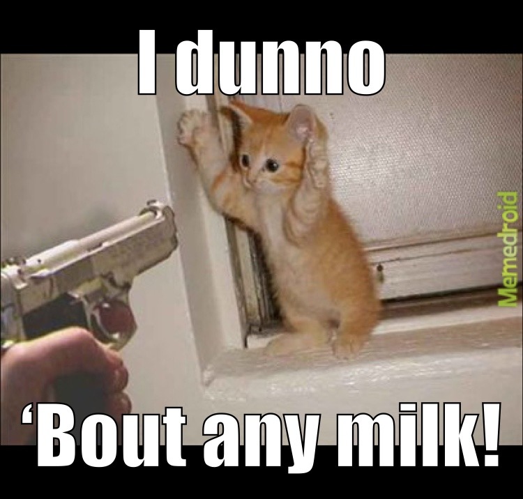 Kitten Criminal - meme