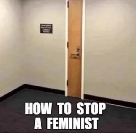 How to stop a feminist - meme
