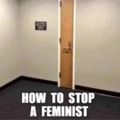 How to stop a feminist