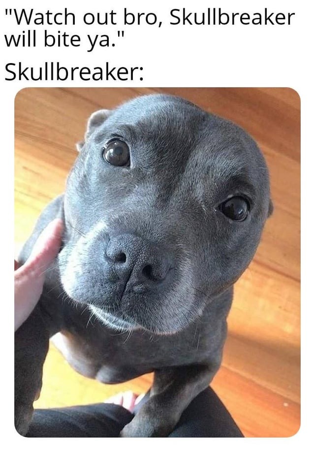 The pitbull called Skullbreaker - meme