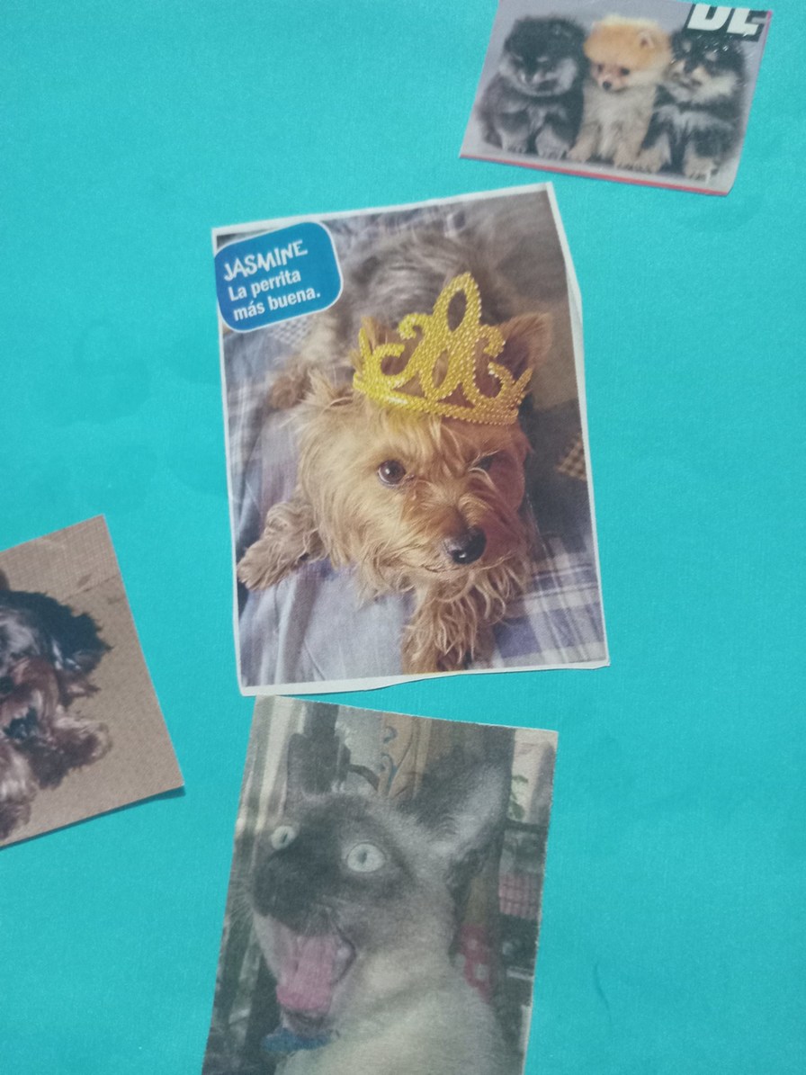 Revisé los recuerdos de mis días en el jardín de infantes y miren lo que encontré - meme