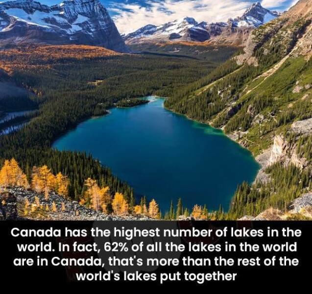 You could fish one every day for a long long time  - meme