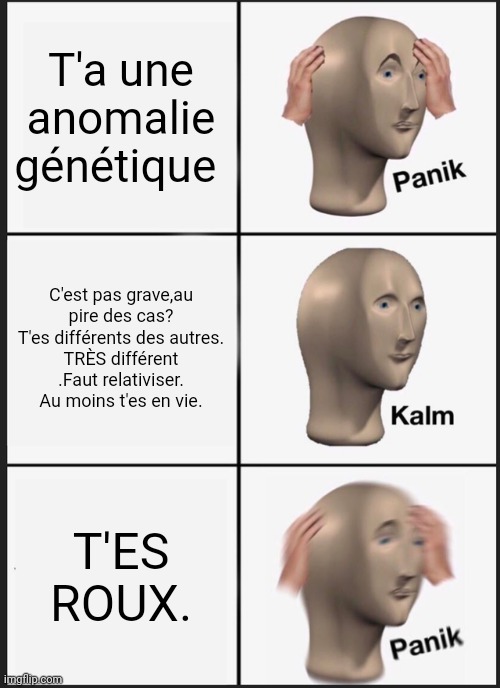 Enfin le premier meme