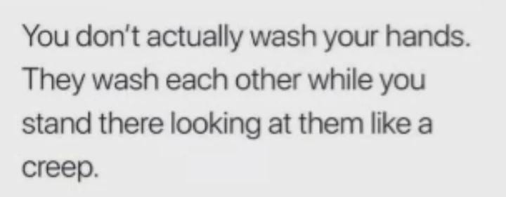 You don’t wash your hands, they wash each other while you supervise - meme
