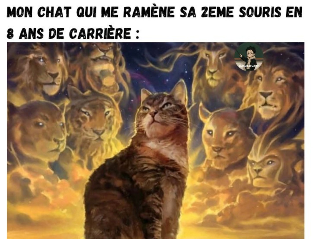 Mon chat qui flex avec sa première souris en 8 ans de CDI - meme