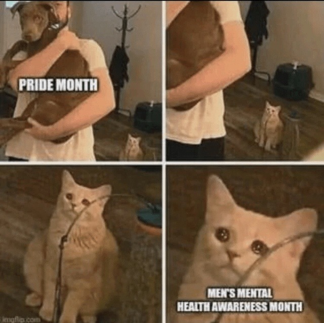 Pride Month leading into Mental Health Awareness Month feels right - meme