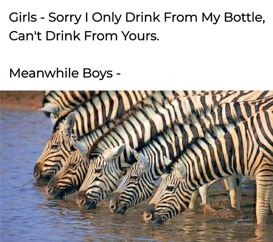 Girls won't share bottles, boys drink from puddles - meme