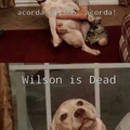 Wilson vey