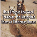 How would you describe llamas without using the words llama or alpaca ??