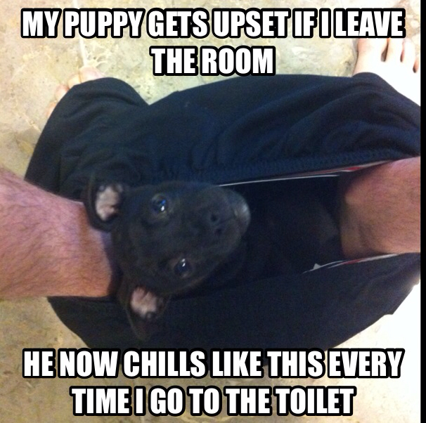 He is a jug and his name is Zeus :) - meme