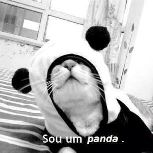 I'm panda *-* - meme