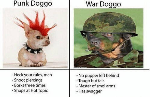 3rd doggo meme, welcome to hell