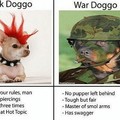 3rd doggo meme, welcome to hell