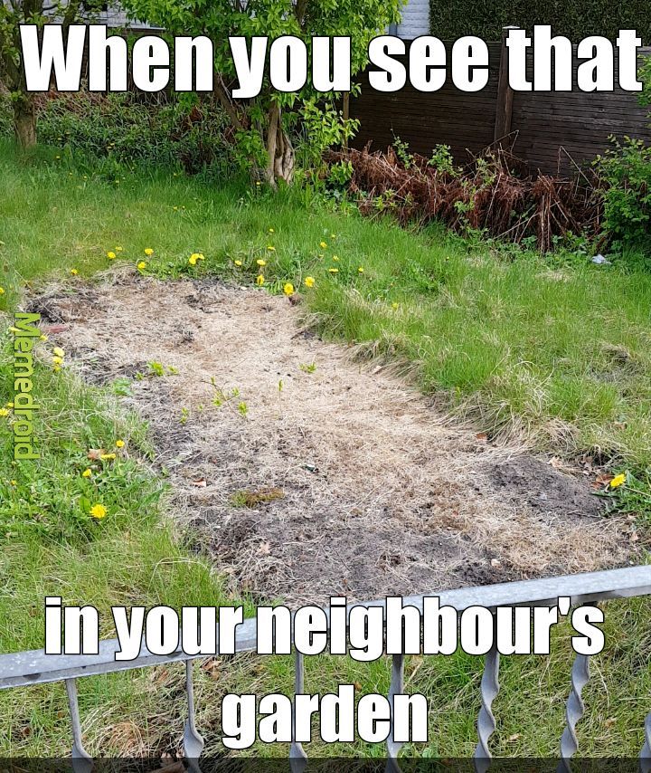 The best Garden memes :) Memedroid