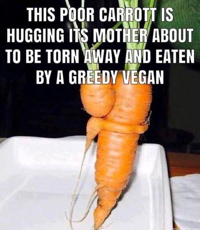 Vegans are vegetal killers - meme