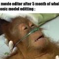 Sonic movie editor after 5 month of whole new Sonic model editting