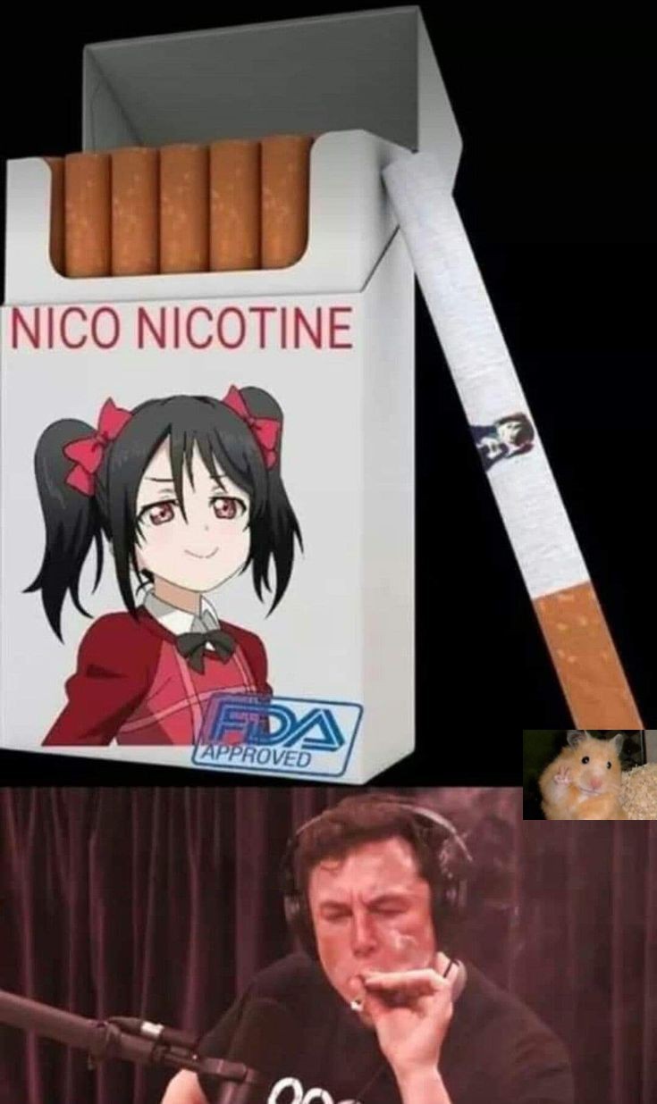 Nico nii - meme