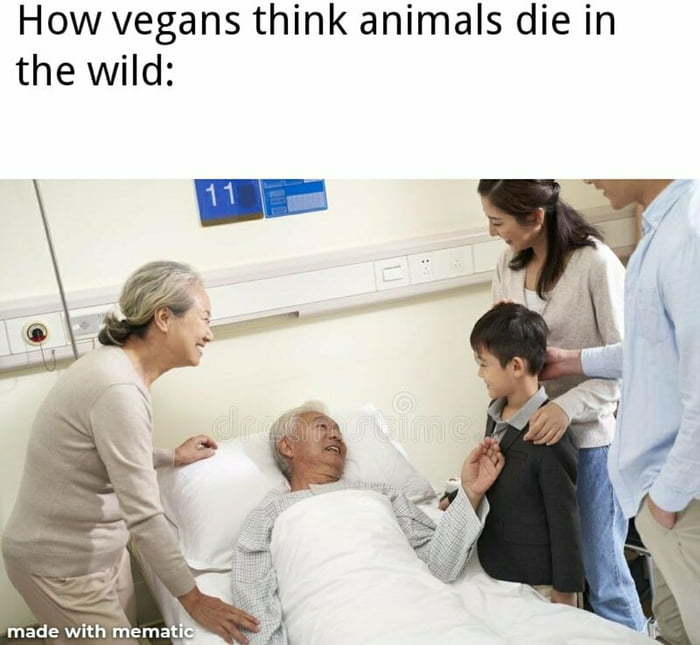veganism good - meme