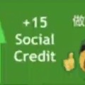 +15 social credit