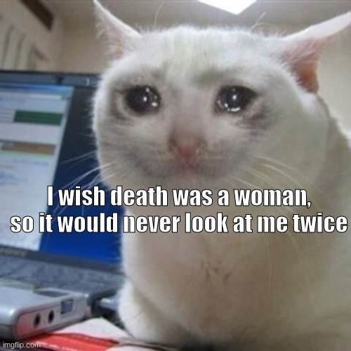 Crying cat meme