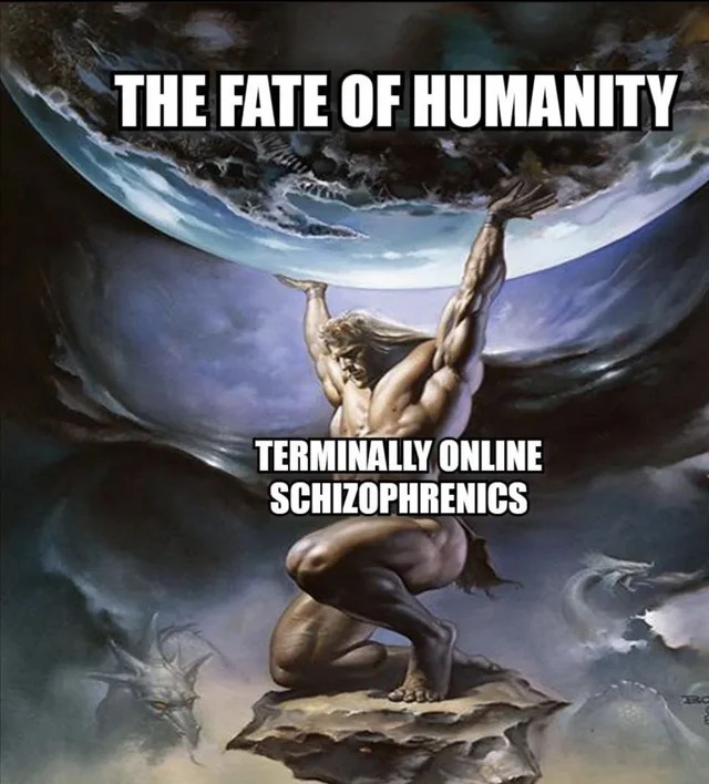 Terminally online schizophrenics - meme