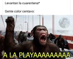 Changos miados - meme
