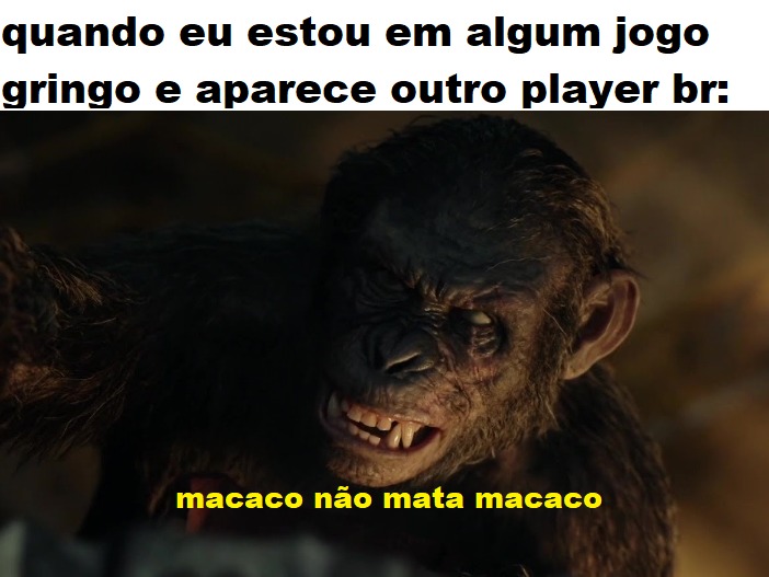 macaco nao mata macaco - meme