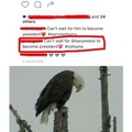 sad eagle