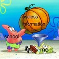 school = useless