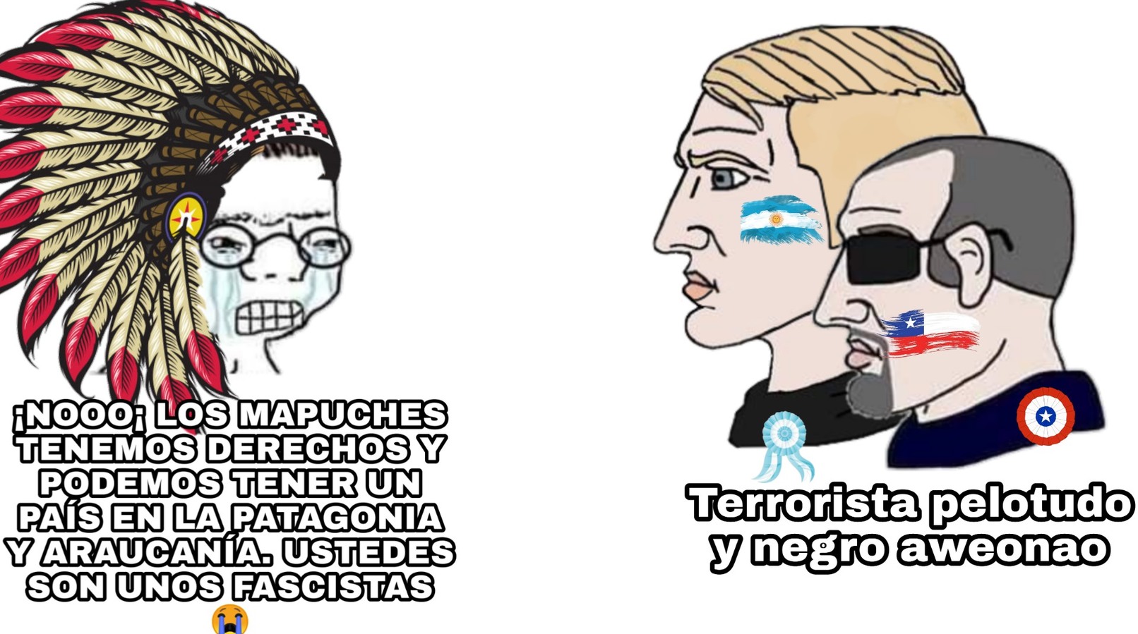 Mapuche de mierda - meme