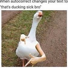 ducking rad - meme
