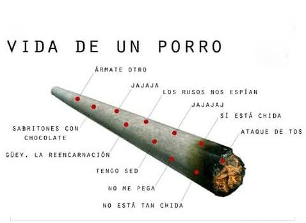 Soy el porro, soy el porro, soy el porro... - meme