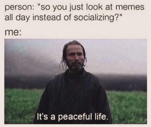 Looking at memes all day is self-care, actually