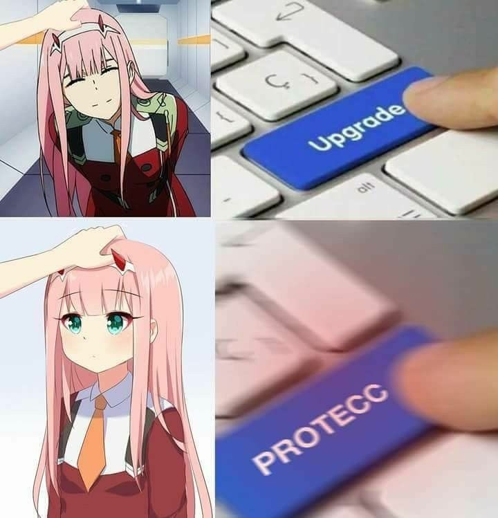 Must protecc - meme