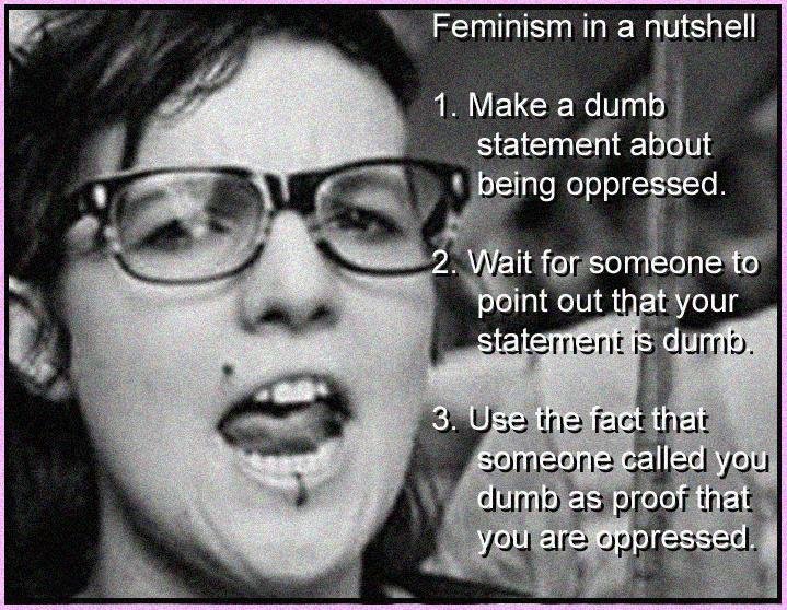 Modern Feminism isn't real feminism - meme