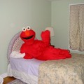 Você quer se deitar com o Elmo?
