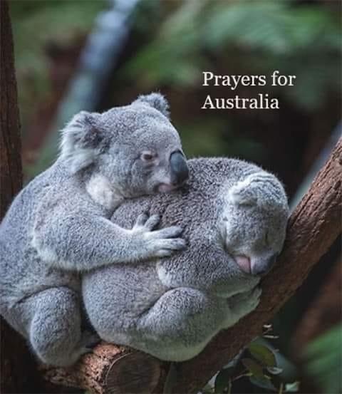 Please pray Australia will be ok - meme