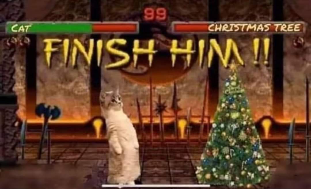 Fuck that Christmas tree up kitty!! - meme