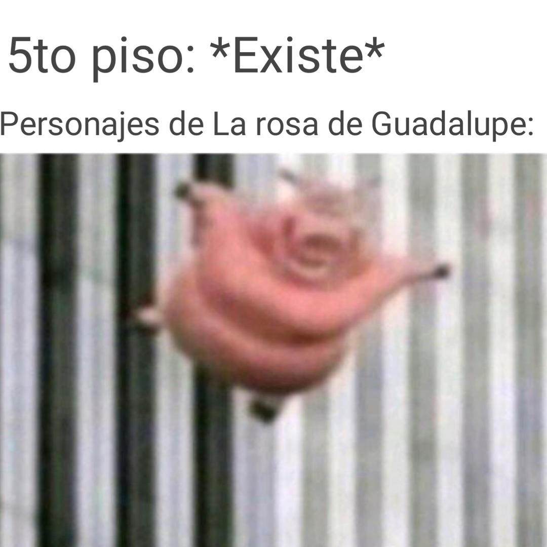 Típico en La rosa de Guadalupe - meme