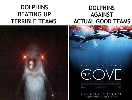 Dolphins 2023 meme