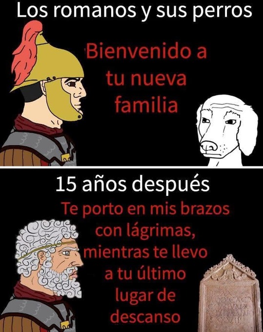 Quedan reportes de cartas que dejaron a los perros en el imperio romano - meme