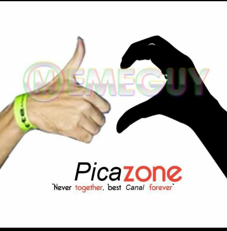 Pikazone - meme