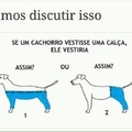 E agora, como visto esse catioro?