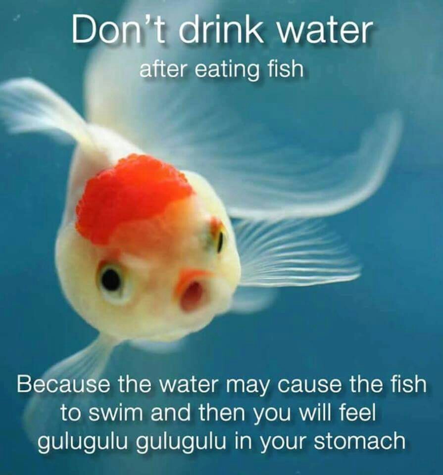 Don't drink water fish had sex in it drink rum - meme