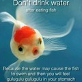 Don't drink water fish had sex in it drink rum