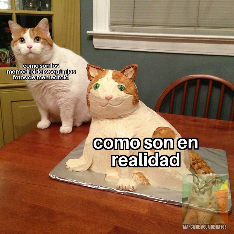 Top memes de Gato Y Gato Pastel en español :) Memedroid