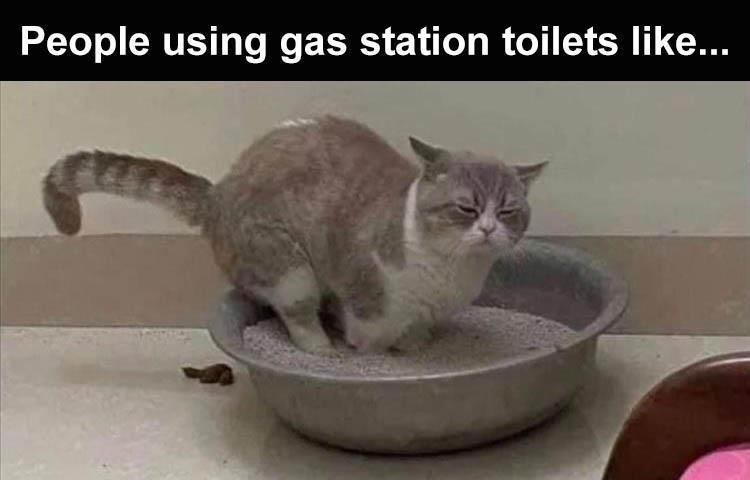 Gas Station Toilets - meme