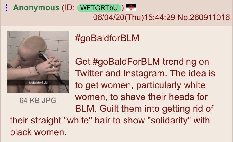 I'm black but I dislike BLM. Good grief you're making us look bad - meme